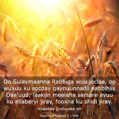 Picture 03 - Boqorradii Kowaad 3:3 SOM - Oo Sulaymaanna Rabbiga wuu jeclaa, oo wuxuu ku - Bible Verse Picture