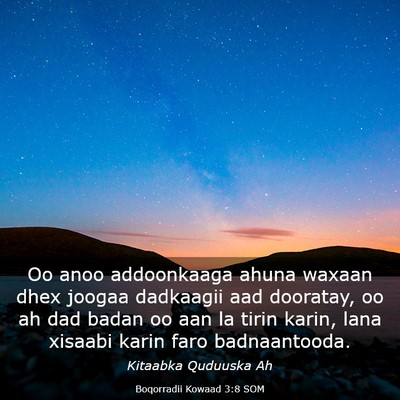 Picture 03 - Boqorradii Kowaad 3:8 SOM - Oo anoo addoonkaaga ahuna waxaan dhex joogaa - Bible Verse Picture