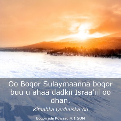 Picture 03 - Boqorradii Kowaad 4:1 SOM - Oo Boqor Sulaymaanna boqor buu u ahaa dadkii - Bible Verse Picture