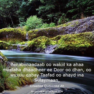 Picture 03 - Boqorradii Kowaad 4:11 SOM - Benabiinaadaab oo wakiil ka ahaa meelaha - Bible Verse Picture