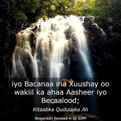 Picture 03 - Boqorradii Kowaad 4:16 SOM - iyo Bacanaa ina Xuushay oo wakiil ka ahaa Aasheer - Bible Verse Picture