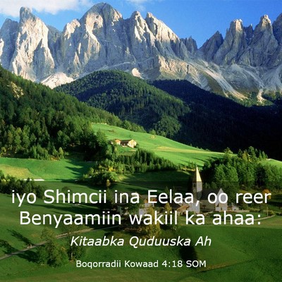 Picture 03 - Boqorradii Kowaad 4:18 SOM - iyo Shimcii ina Eelaa, oo reer Benyaamiin wakiil - Bible Verse Picture