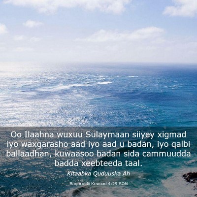 Picture 03 - Boqorradii Kowaad 4:29 SOM - Oo Ilaahna wuxuu Sulaymaan siiyey xigmad iyo - Bible Verse Picture