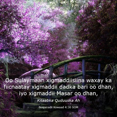 Picture 03 - Boqorradii Kowaad 4:30 SOM - Oo Sulaymaan xigmaddiisiina waxay ka fiicnaatay - Bible Verse Picture