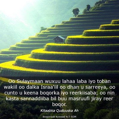 Picture 03 - Boqorradii Kowaad 4:7 SOM - Oo Sulaymaan wuxuu lahaa laba iyo toban wakiil oo - Bible Verse Picture