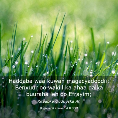 Picture 03 - Boqorradii Kowaad 4:8 SOM - Haddaba waa kuwan magacyadoodii: Benxuur oo - Bible Verse Picture
