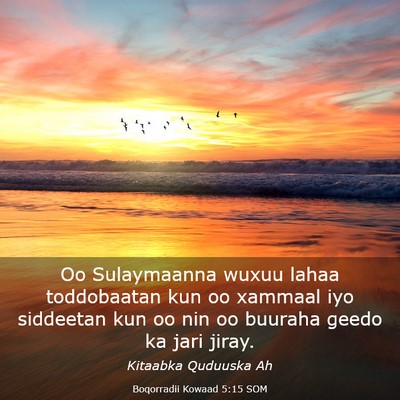 Picture 03 - Boqorradii Kowaad 5:15 SOM - Oo Sulaymaanna wuxuu lahaa toddobaatan kun oo - Bible Verse Picture