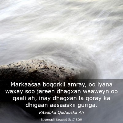 Picture 03 - Boqorradii Kowaad 5:17 SOM - Markaasaa boqorkii amray, oo iyana waxay soo - Bible Verse Picture