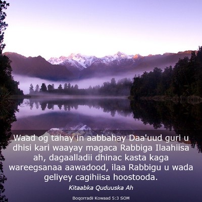 Picture 03 - Boqorradii Kowaad 5:3 SOM - Waad og tahay in aabbahay Daa'uud guri u dhisi - Bible Verse Picture