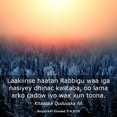 Picture 03 - Boqorradii Kowaad 5:4 SOM - Laakiinse haatan Rabbigu waa iga nasiyey dhinac - Bible Verse Picture