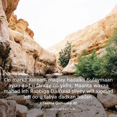 Picture 03 - Boqorradii Kowaad 5:7 SOM - Oo markii Xiiraam maqlay hadalkii Sulaymaan ayuu - Bible Verse Picture