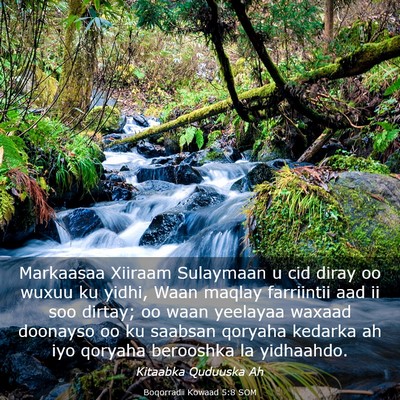 Picture 03 - Boqorradii Kowaad 5:8 SOM - Markaasaa Xiiraam Sulaymaan u cid diray oo wuxuu - Bible Verse Picture