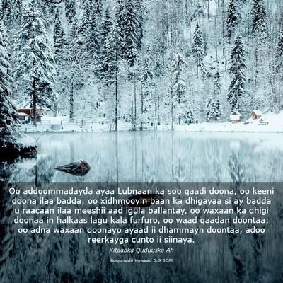 Picture 03 - Boqorradii Kowaad 5:9 SOM - Oo addoommadayda ayaa Lubnaan ka soo qaadi doona, - Bible Verse Picture