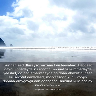 Picture 03 - Boqorradii Kowaad 6:12 SOM - Gurigan aad dhisayso waxaan kaa leeyahay, Haddaad - Bible Verse Picture