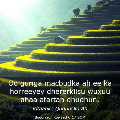 Picture 03 - Boqorradii Kowaad 6:17 SOM - Oo guriga macbudka ah ee ka horreeyey dhererkiisu - Bible Verse Picture