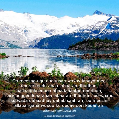Picture 03 - Boqorradii Kowaad 6:20 SOM - Oo meesha ugu quduusan waxay lahayd meel - Bible Verse Picture