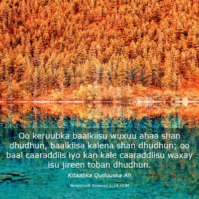 Picture 03 - Boqorradii Kowaad 6:24 SOM - Oo keruubka baalkiisu wuxuu ahaa shan dhudhun, - Bible Verse Picture