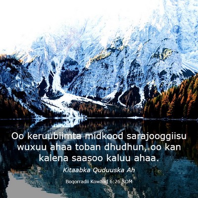 Picture 03 - Boqorradii Kowaad 6:26 SOM - Oo keruubiimta midkood sarajooggiisu wuxuu ahaa - Bible Verse Picture