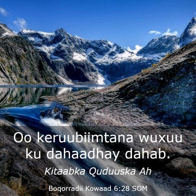 Picture 03 - Boqorradii Kowaad 6:28 SOM - Oo keruubiimtana wuxuu ku dahaadhay - Bible Verse Picture