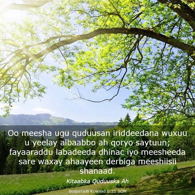 Picture 03 - Boqorradii Kowaad 6:31 SOM - Oo meesha ugu quduusan iriddeedana wuxuu u yeelay - Bible Verse Picture