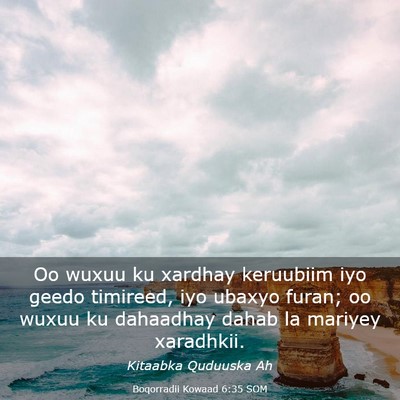 Picture 03 - Boqorradii Kowaad 6:35 SOM - Oo wuxuu ku xardhay keruubiim iyo geedo timireed, - Bible Verse Picture