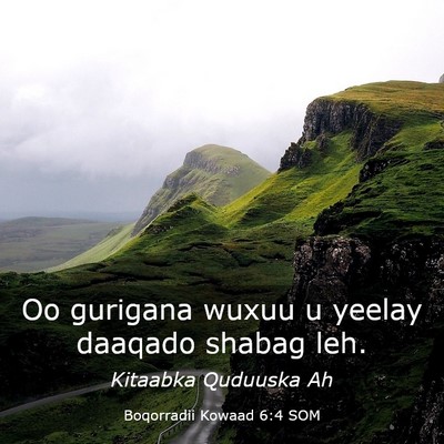 Picture 03 - Boqorradii Kowaad 6:4 SOM - Oo gurigana wuxuu u yeelay daaqado shabag - Bible Verse Picture