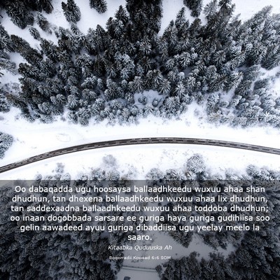 Picture 03 - Boqorradii Kowaad 6:6 SOM - Oo dabaqadda ugu hoosaysa ballaadhkeedu wuxuu - Bible Verse Picture
