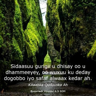 Picture 03 - Boqorradii Kowaad 6:9 SOM - Sidaasuu gurigii u dhisay oo u dhammeeyey, oo - Bible Verse Picture