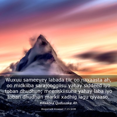 Picture 03 - Boqorradii Kowaad 7:15 SOM - Wuxuu sameeyey labada tiir oo naxaasta ah, oo - Bible Verse Picture