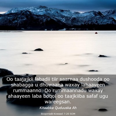 Picture 03 - Boqorradii Kowaad 7:20 SOM - Oo taajajkii labadii tiir saarnaa dushooda oo - Bible Verse Picture