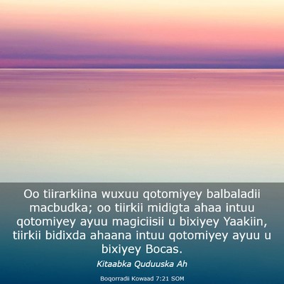 Picture 03 - Boqorradii Kowaad 7:21 SOM - Oo tiirarkiina wuxuu qotomiyey balbaladii - Bible Verse Picture