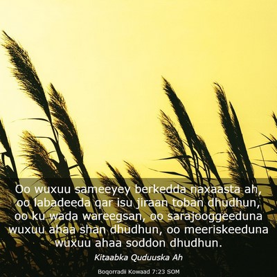 Picture 03 - Boqorradii Kowaad 7:23 SOM - Oo wuxuu sameeyey berkedda naxaasta ah, oo - Bible Verse Picture