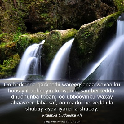 Picture 03 - Boqorradii Kowaad 7:24 SOM - Oo berkedda qarkeedii wareegsanaa waxaa ku hoos - Bible Verse Picture