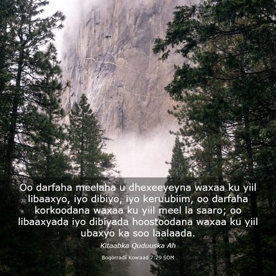 Picture 03 - Boqorradii Kowaad 7:29 SOM - Oo darfaha meelaha u dhexeeyeyna waxaa ku yiil - Bible Verse Picture