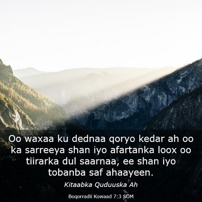 Picture 03 - Boqorradii Kowaad 7:3 SOM - Oo waxaa ku dednaa qoryo kedar ah oo ka sarreeya - Bible Verse Picture
