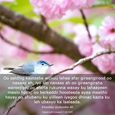 Picture 03 - Boqorradii Kowaad 7:30 SOM - Oo saldhig kastaaba wuxuu lahaa afar giraangirood - Bible Verse Picture
