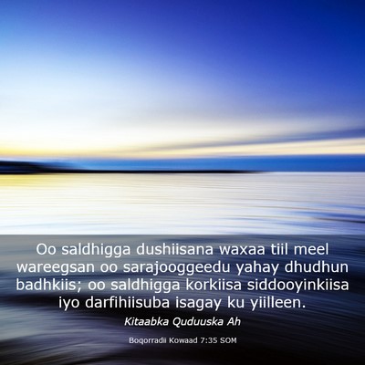 Picture 03 - Boqorradii Kowaad 7:35 SOM - Oo saldhigga dushiisana waxaa tiil meel wareegsan - Bible Verse Picture