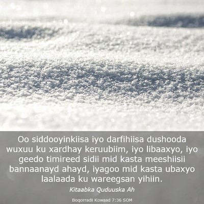 Picture 03 - Boqorradii Kowaad 7:36 SOM - Oo siddooyinkiisa iyo darfihiisa dushooda wuxuu - Bible Verse Picture