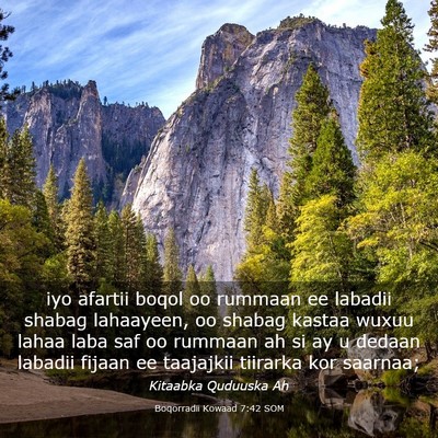 Picture 03 - Boqorradii Kowaad 7:42 SOM - iyo afartii boqol oo rummaan ee labadii shabag - Bible Verse Picture
