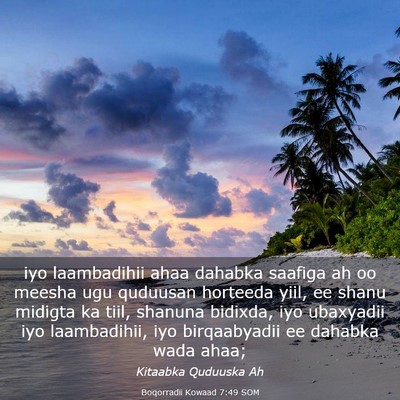 Picture 03 - Boqorradii Kowaad 7:49 SOM - iyo laambadihii ahaa dahabka saafiga ah oo meesha - Bible Verse Picture
