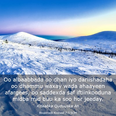 Picture 03 - Boqorradii Kowaad 7:5 SOM - Oo albaabbada oo dhan iyo dariishadaha oo dhammu - Bible Verse Picture
