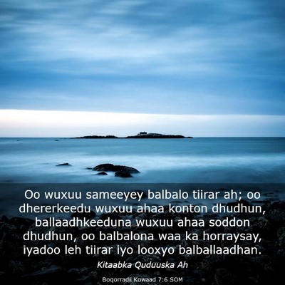 Picture 03 - Boqorradii Kowaad 7:6 SOM - Oo wuxuu sameeyey balbalo tiirar ah; oo - Bible Verse Picture