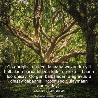 Picture 03 - Boqorradii Kowaad 7:8 SOM - Oo gurigiisii uu degi lahaana wuxuu ku yiil - Bible Verse Picture
