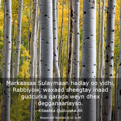 Picture 03 - Boqorradii Kowaad 8:12 SOM - Markaasaa Sulaymaan hadlay oo yidhi, Rabbiyow, - Bible Verse Picture
