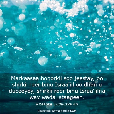 Picture 03 - Boqorradii Kowaad 8:14 SOM - Markaasaa boqorkii soo jeestay, oo shirkii reer - Bible Verse Picture