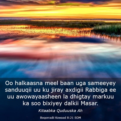 Picture 03 - Boqorradii Kowaad 8:21 SOM - Oo halkaasna meel baan uga sameeyey sanduuqii uu - Bible Verse Picture
