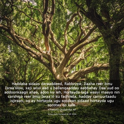 Picture 03 - Boqorradii Kowaad 8:25 SOM - Haddaba sidaas daraaddeed, Rabbiyow, Ilaaha reer - Bible Verse Picture
