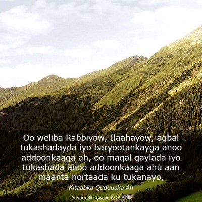 Picture 03 - Boqorradii Kowaad 8:28 SOM - Oo weliba Rabbiyow, Ilaahayow, aqbal tukashadayda - Bible Verse Picture