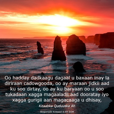 Picture 03 - Boqorradii Kowaad 8:44 SOM - Oo hadday dadkaagu dagaal u baxaan inay la - Bible Verse Picture