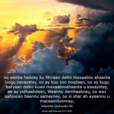 Picture 03 - Boqorradii Kowaad 8:47 SOM - oo weliba hadday ku fikiraan dalkii maxaabiis - Bible Verse Picture